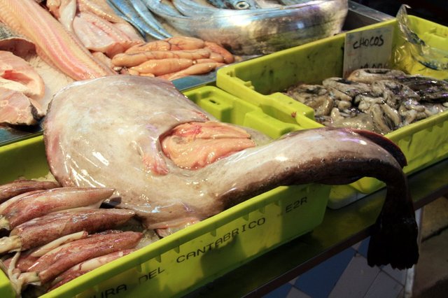 20090307_lisbontrip_14_mercado_da_ribeir